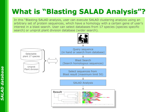 What_is_BlastingSALADAnalysis